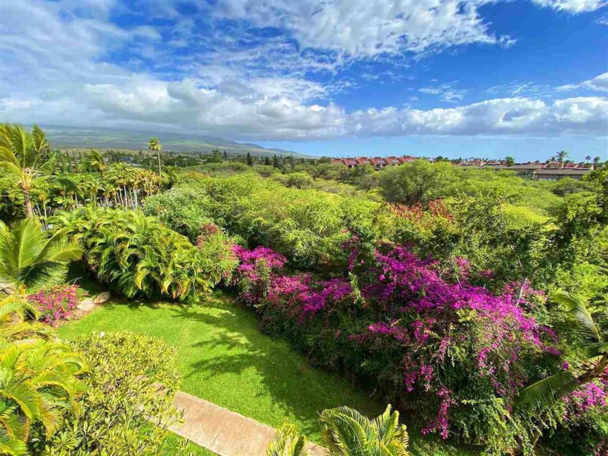 Penthouse 1 Bd King Suite With Ocean Views! Wailea  Exterior photo
